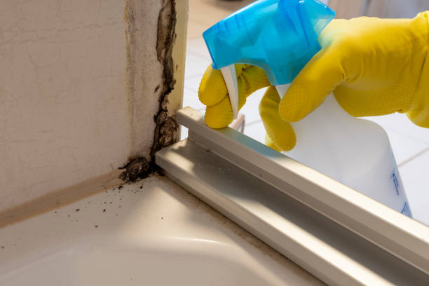 Best Residential Mold Remediation in Carrollton, GA